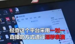 成人性爱直播平台,性爱直播的灰色地带与监管挑战