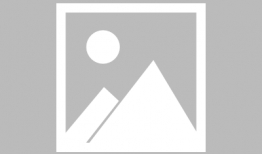 猫咪视频,猫咪视频背后的趣味故事