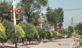 旺村镇,探寻江南水乡的韵味与魅力