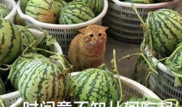 广西吃瓜视频爆料最新,揭秘背后惊人真相！”